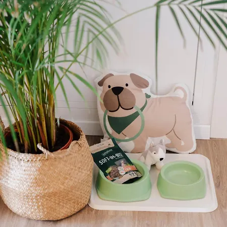 Raza - Beachfront On Rab - Sea View & Private Boat Dock Apartment